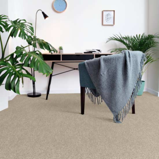 carpet in office